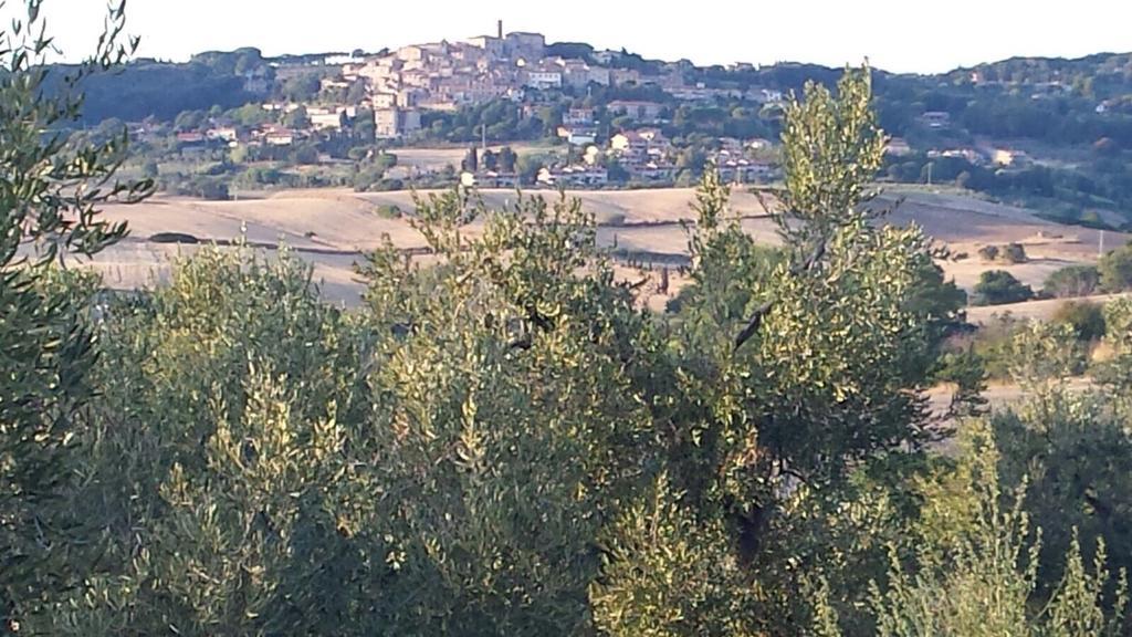 فيلا بيبونافي Agriturismo Campoalquattrino المظهر الخارجي الصورة