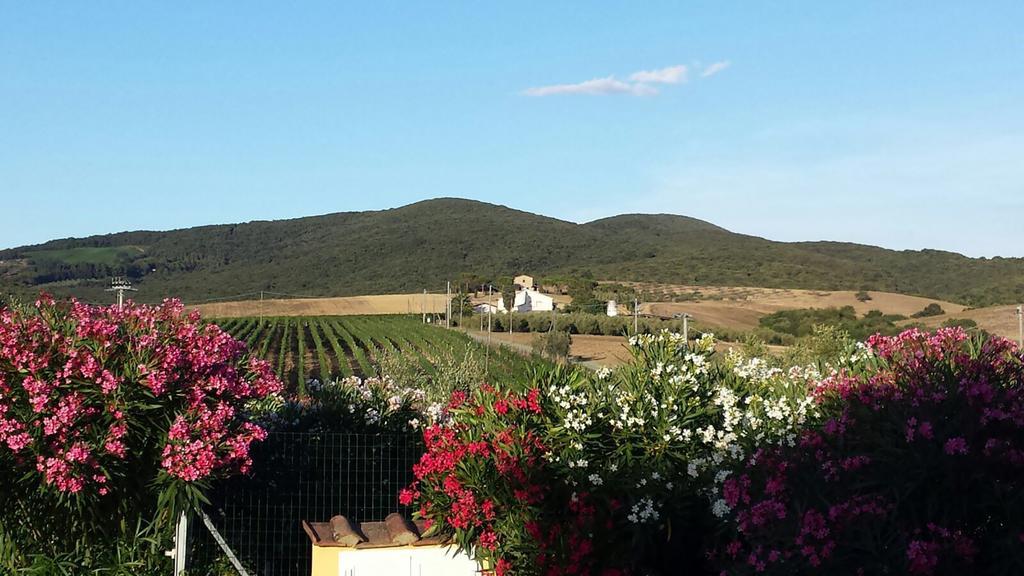 فيلا بيبونافي Agriturismo Campoalquattrino المظهر الخارجي الصورة